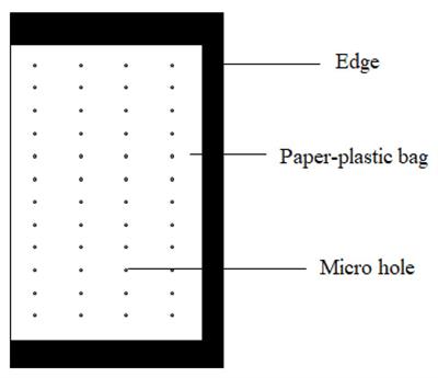 Application of Bag-Controlled Release Fertilizer Facilitated New Root Formation, Delayed Leaf, and Root Senescence in Peach Trees and Improved Nitrogen Utilization Efficiency